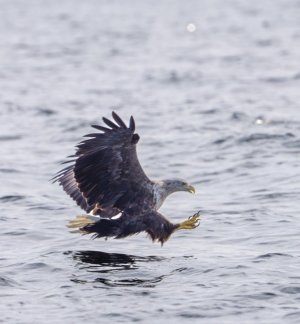 DSC01383.jpg DSC01383.jpg