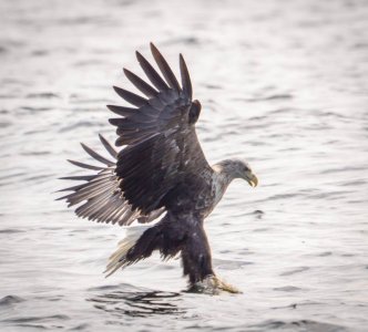 DSC01384.jpg DSC01384.jpg