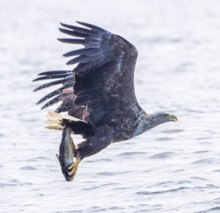 DSC01386 (2).jpg DSC01386 (2).jpg