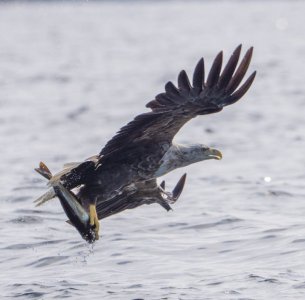 DSC01387.jpg DSC01387.jpg