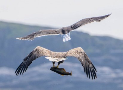 DSC01398.jpg DSC01398.jpg