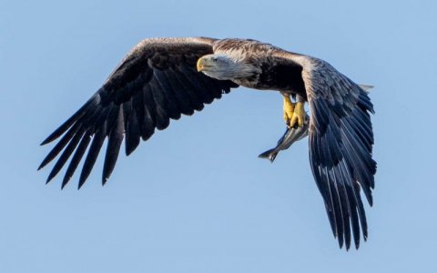 DSC01467.jpg DSC01467.jpg