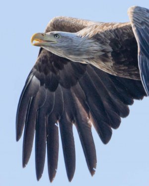 DSC01481 (2).jpg DSC01481 (2).jpg