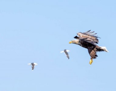 DSC01535.jpg DSC01535.jpg