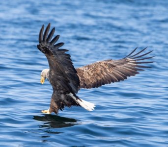 DSC01550.jpg DSC01550.jpg