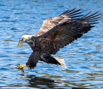 DSC01615.jpg DSC01615.jpg