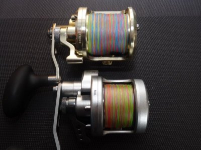 DSC01844.JPG DSC01844.JPG