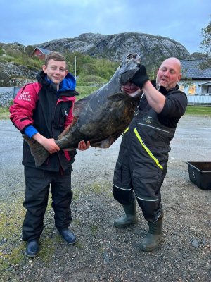 ffc4c585-2441-4281-b8e8-8ff7dde6dd83.jpeg ffc4c585-2441-4281-b8e8-8ff7dde6dd83.jpeg