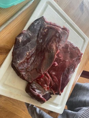 cbac42a5-d177-49e1-ae3e-31ef07fadf38.jpeg cbac42a5-d177-49e1-ae3e-31ef07fadf38.jpeg