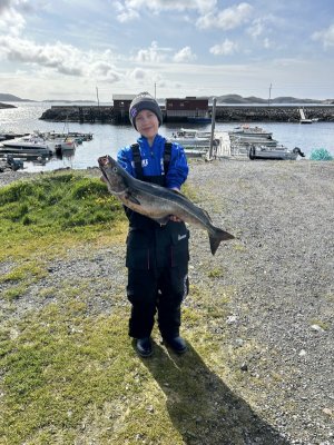 IMG_1667.jpeg IMG_1667.jpeg