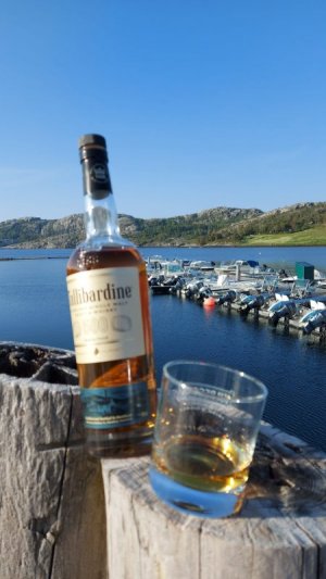 IMG-20230617-WA0007.jpg IMG-20230617-WA0007.jpg