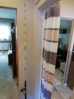 IMG_20230621_174215.jpg