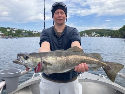 IMG_4444.jpeg IMG_4444.jpeg