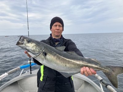 IMG_4353.jpeg IMG_4353.jpeg