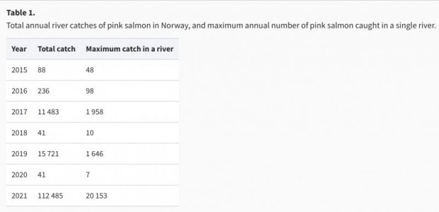 IMG_6850.jpeg IMG_6850.jpeg