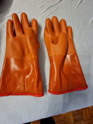 20230704_072603.jpg