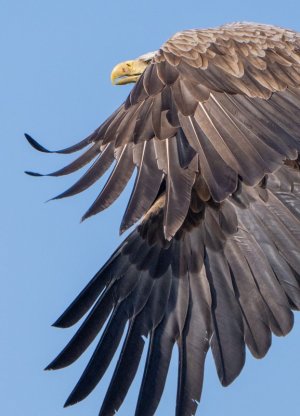 DSC01586.jpg DSC01586.jpg