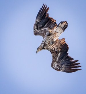 DSC01666.jpg DSC01666.jpg