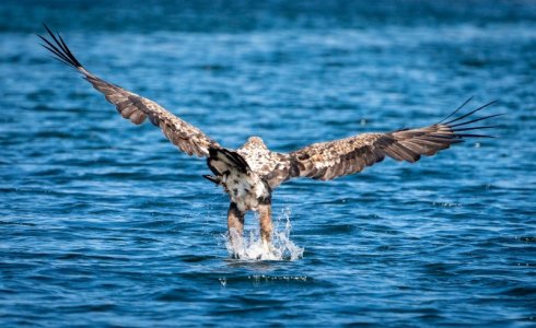 DSC01707.jpg DSC01707.jpg