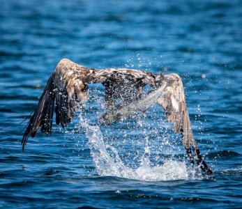 DSC01708.jpg DSC01708.jpg