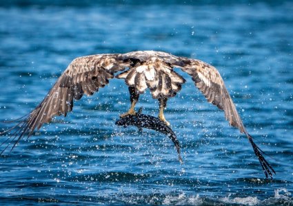 DSC01710.jpg DSC01710.jpg