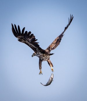 DSC01682 (1).jpg DSC01682 (1).jpg