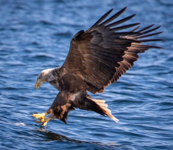 DSC01811.jpg DSC01811.jpg