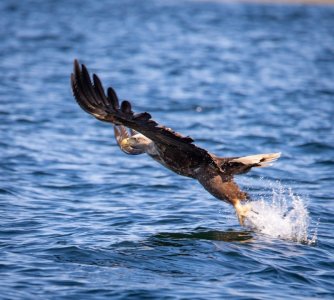 DSC01812.jpg DSC01812.jpg