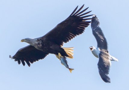 DSC01874 (1).jpg DSC01874 (1).jpg