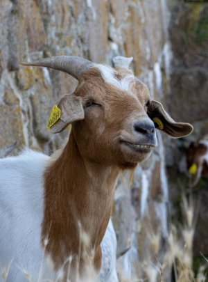 DSC02453.jpg DSC02453.jpg