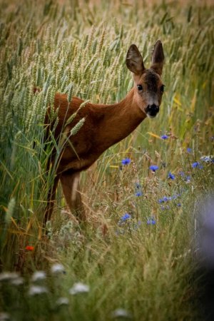 DSC02782.jpg DSC02782.jpg