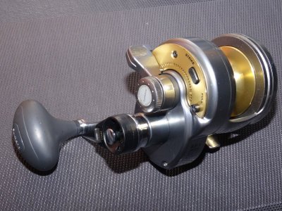 DSC02121.JPG DSC02121.JPG