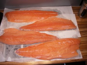 IMGP6749.JPG IMGP6749.JPG