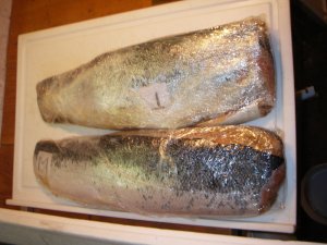 IMGP6750.JPG IMGP6750.JPG