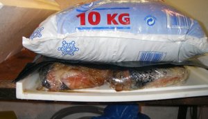 IMGP6752.JPG IMGP6752.JPG