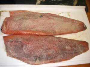 IMGP6761.JPG IMGP6761.JPG