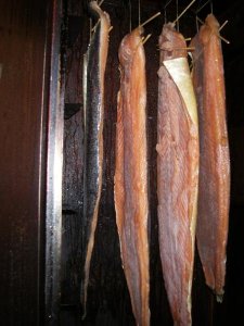 IMGP6769.jpg IMGP6769.jpg