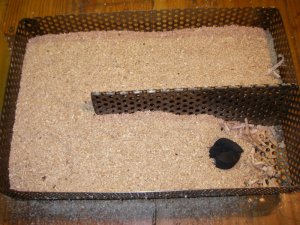 IMGP6765.JPG IMGP6765.JPG