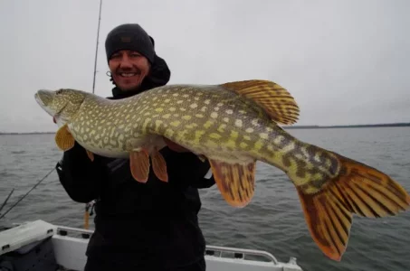 IMGP3579 (640x424).webp