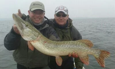 pike 2015 001.webp