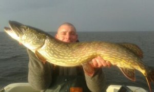 pike 2015 005.jpg