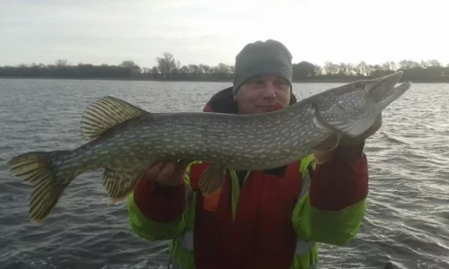 pike 2015 007.webp