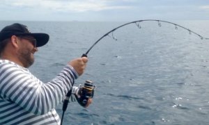 YFT in Aktion (1).jpg