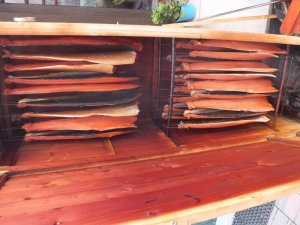 DSCF3005.jpg DSCF3005.jpg