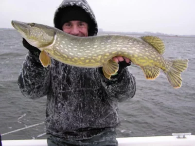 bodden 2016 004.webp