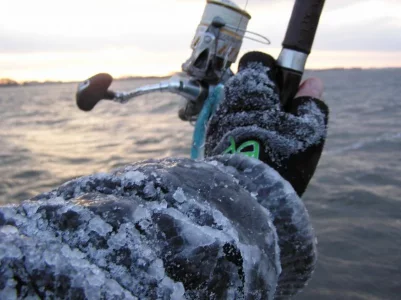 bodden 2016 030.webp