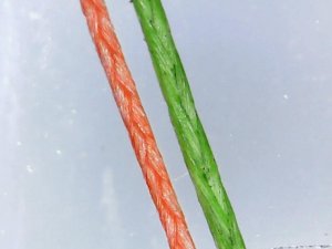 Still0006.jpg Still0006.jpg