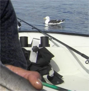 Bild3.webp