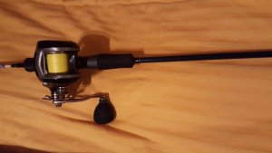 2016-01-25 19.05.32.jpg