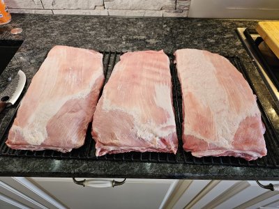 20230722_084041.jpg 20230722_084041.jpg